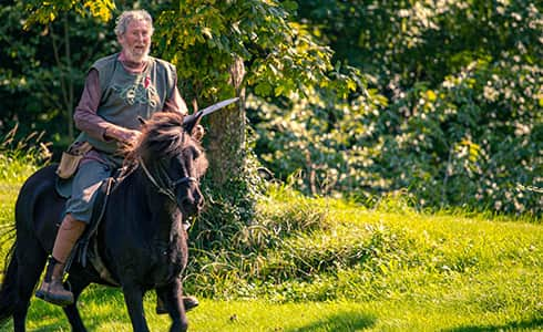 The image shows and icelandic horse and her Viking ridee.